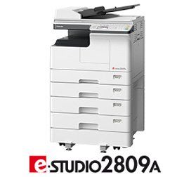 large Image e STUDIO2809A